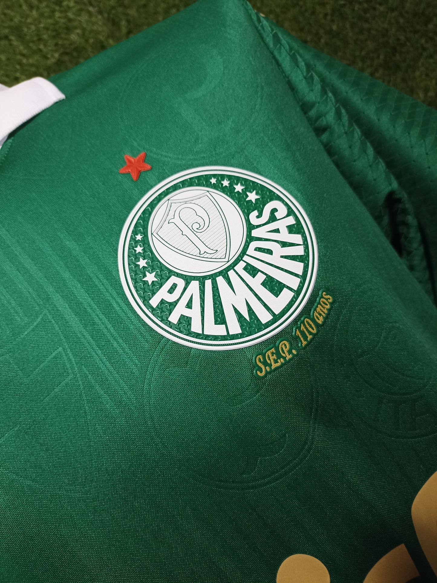 Jersey Palmeiras Puma Primera Equipación 24/25 - Jugador