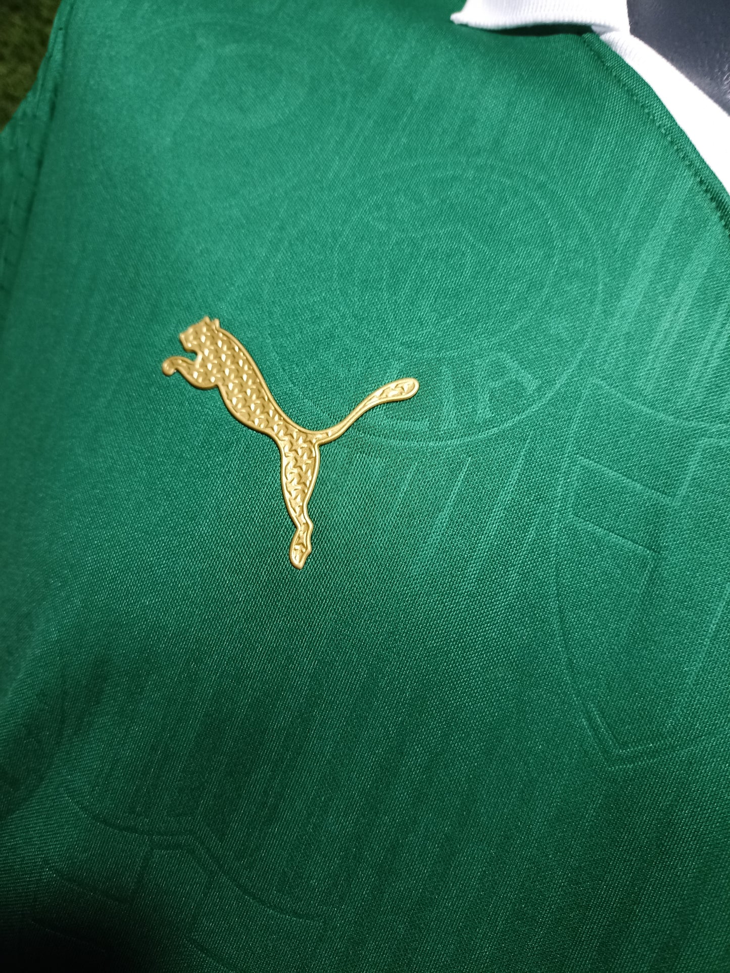 Jersey Palmeiras Puma Primera Equipación 24/25 - Jugador