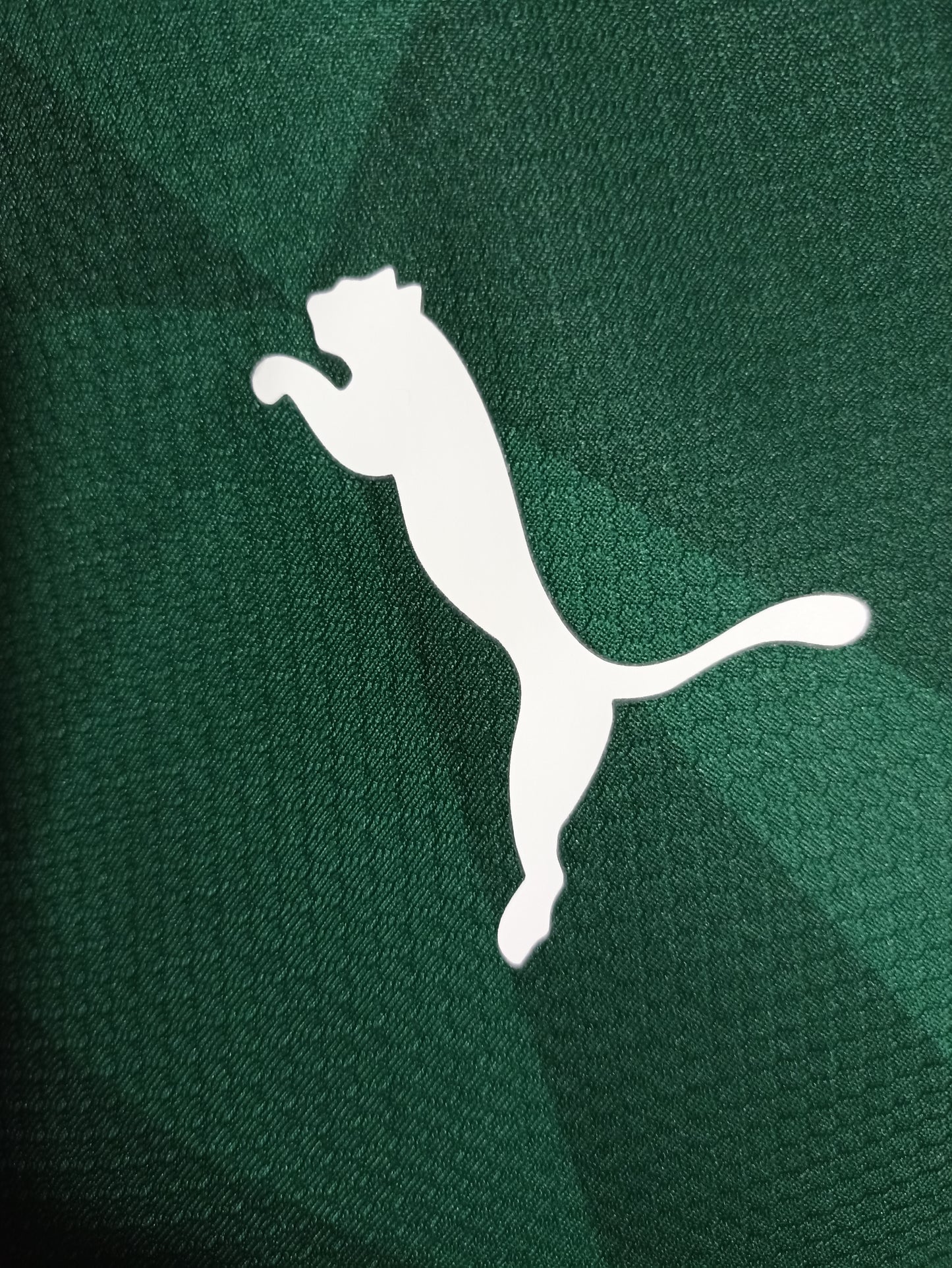 Jersey Palmeiras Local 2023