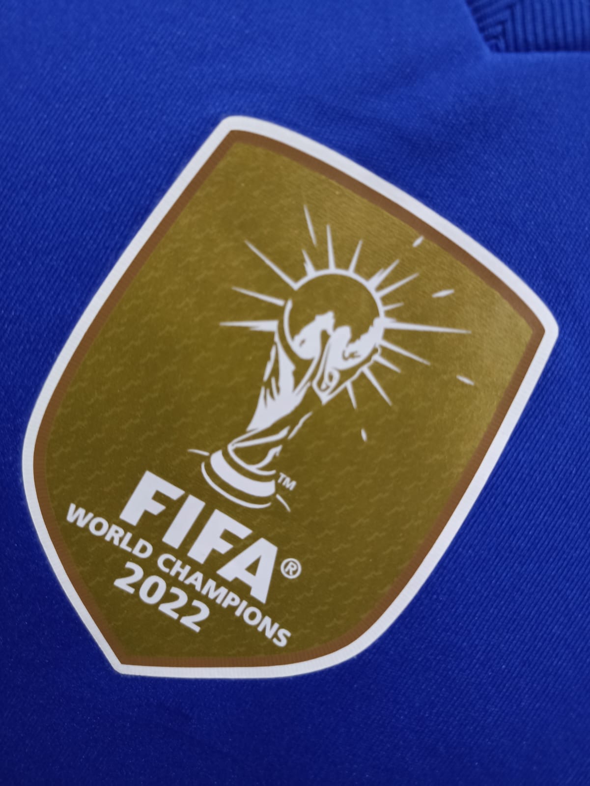 JERSEY ARGENTINA VISITA 2024