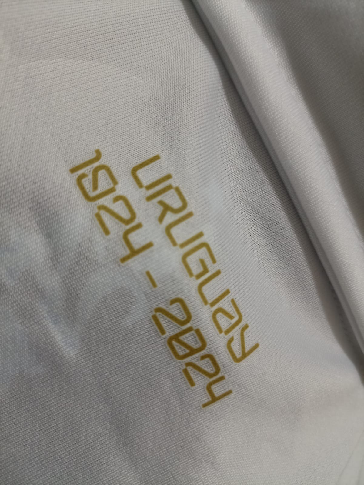 JERSEY HOMENAJE CAMPEONES OLIMPICOS 1924 SIN CAJA