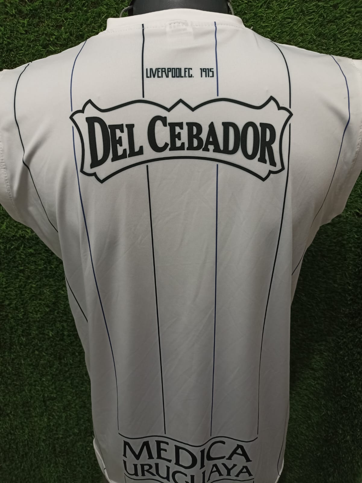 MUSCULOSA LIVERPOOL ENTRENAMIENTO