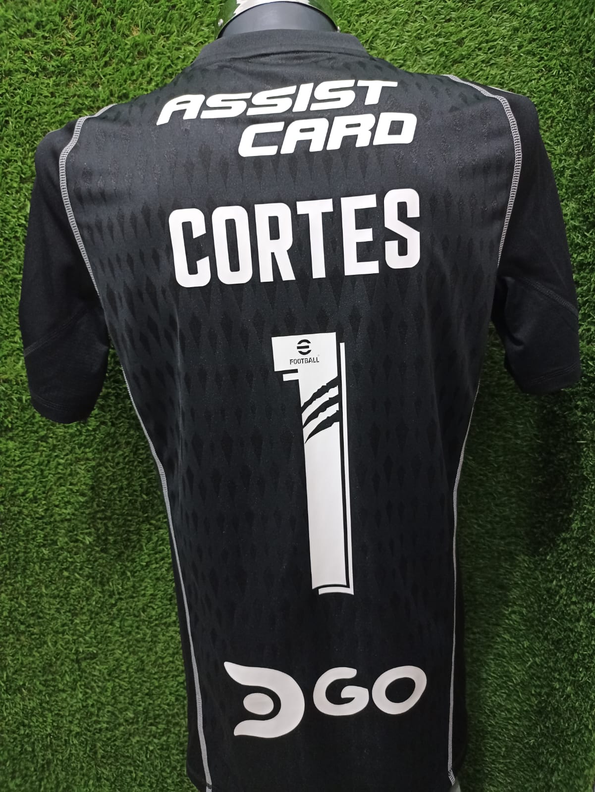 JERSEY COLO COLO PORTERO 2024