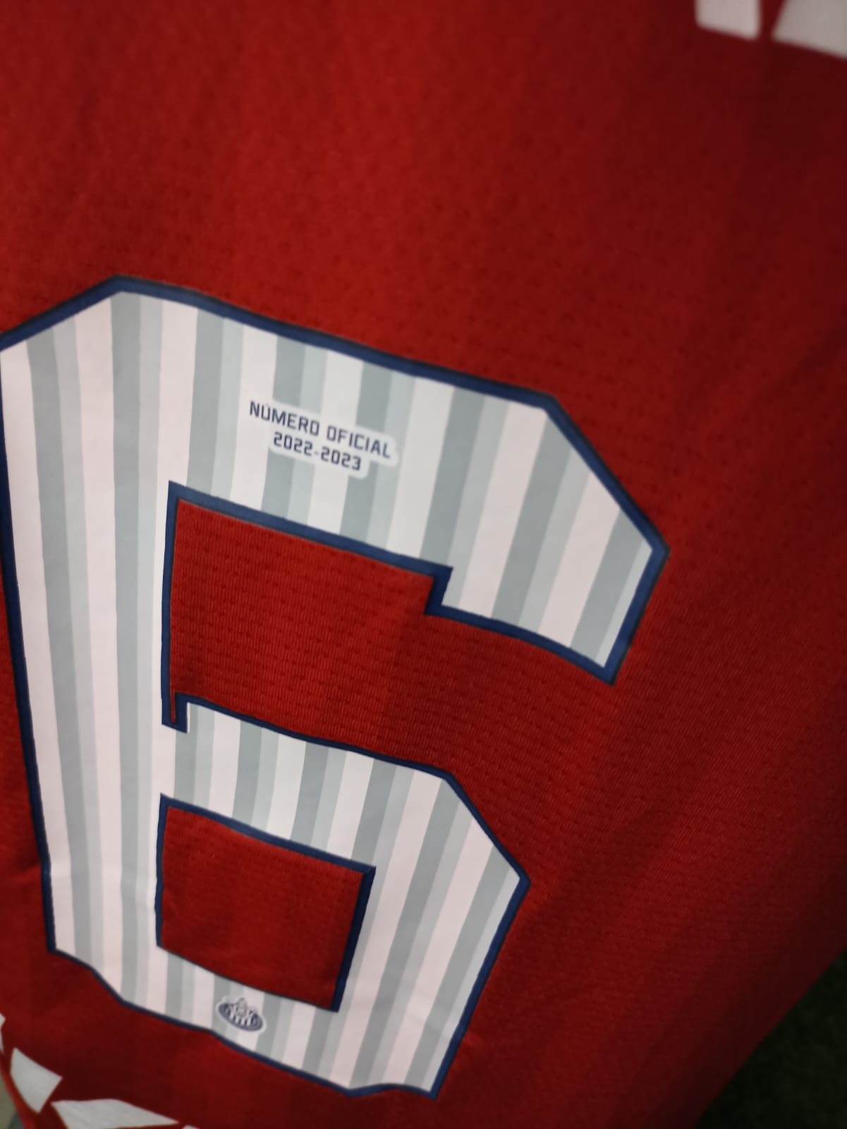 JERSEY CHIVAS UTILERIA P. PEREZ #6