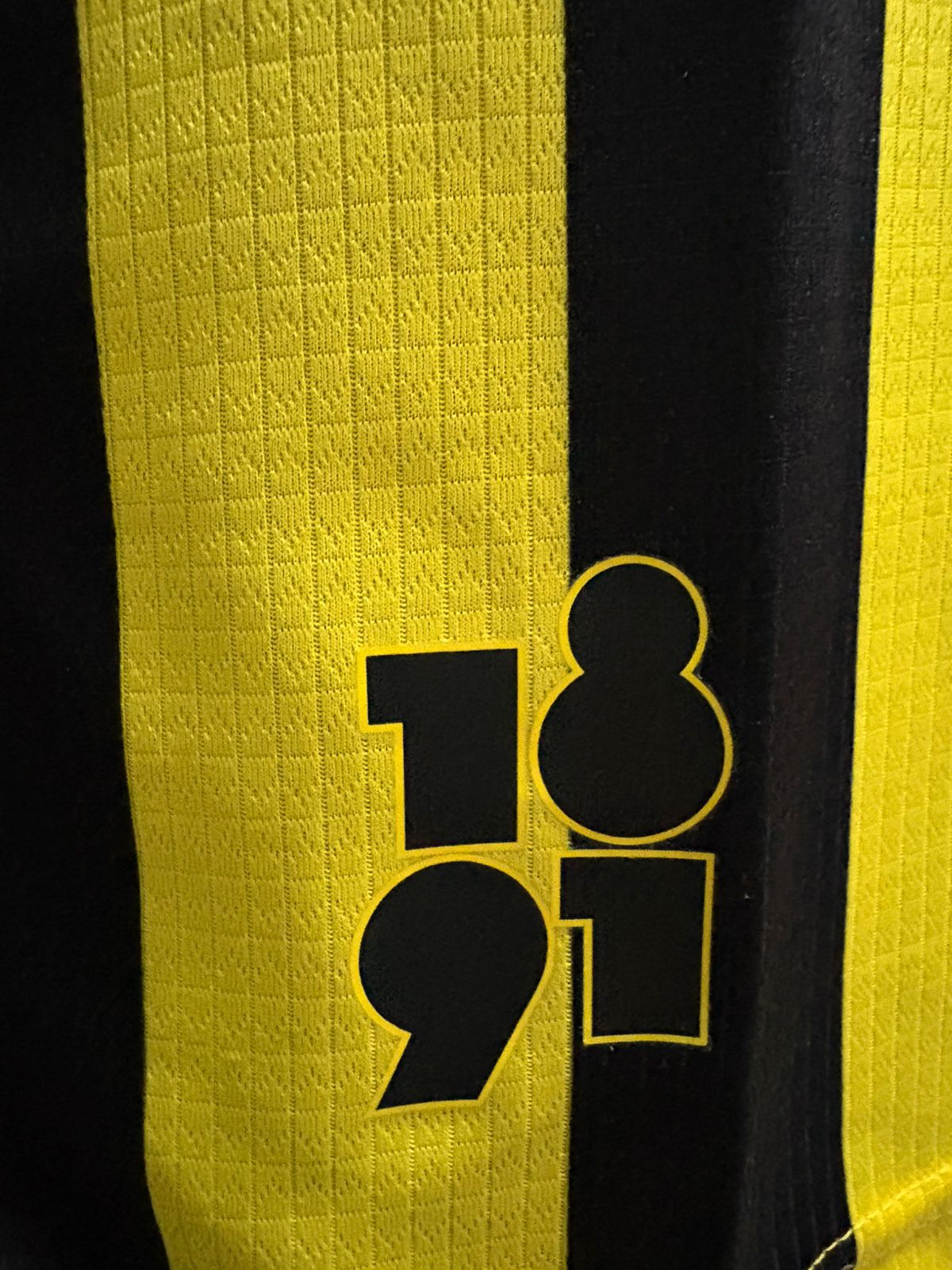 JERSEY PEÑAROL LOCAL 2024
