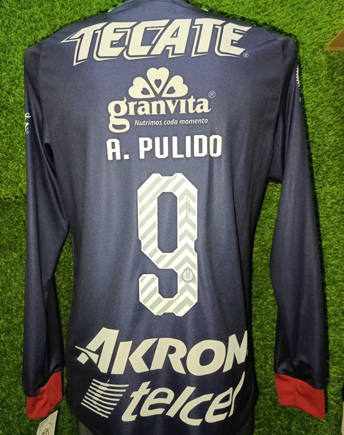 JERSEY ALTERNATIVO MANGA LARGA CHIVAS 18/19