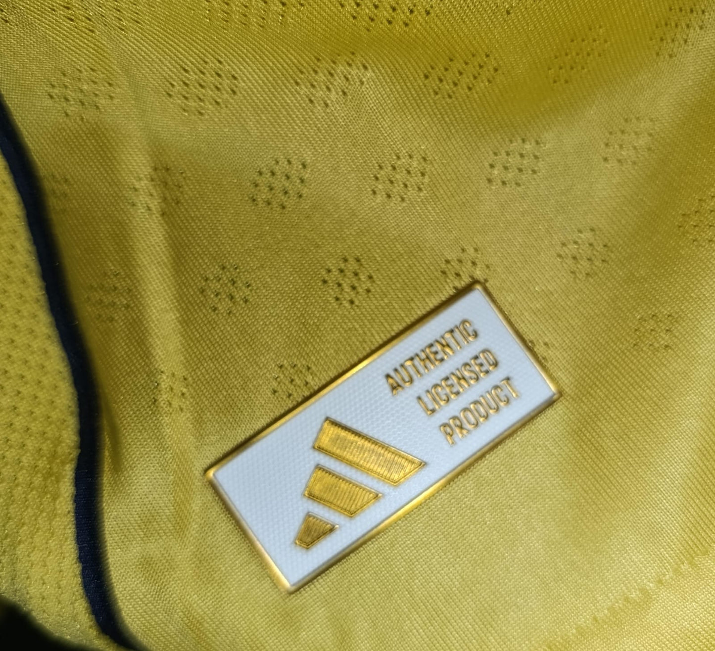 JERSEY BOCA JUNIORS MANGA LARGA VERSION JUGADOR 2025-2026