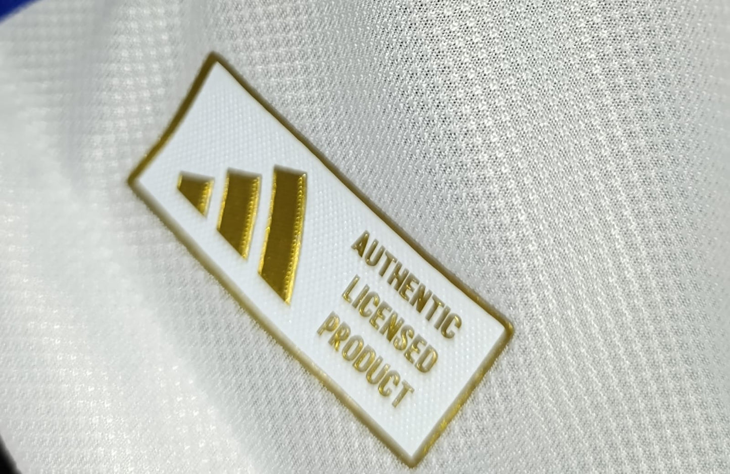 JERSEY BOCA JUNIORS MANGA LARGA VERSION JUGADOR 2024-2025