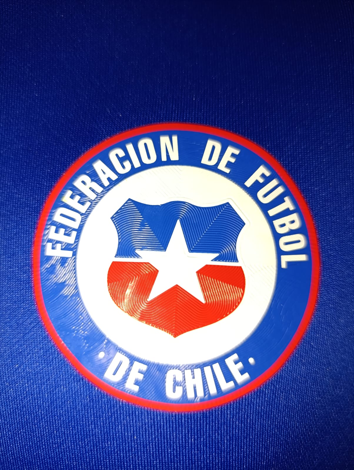 SUDADERA SELECCION CHILE CON GORRO