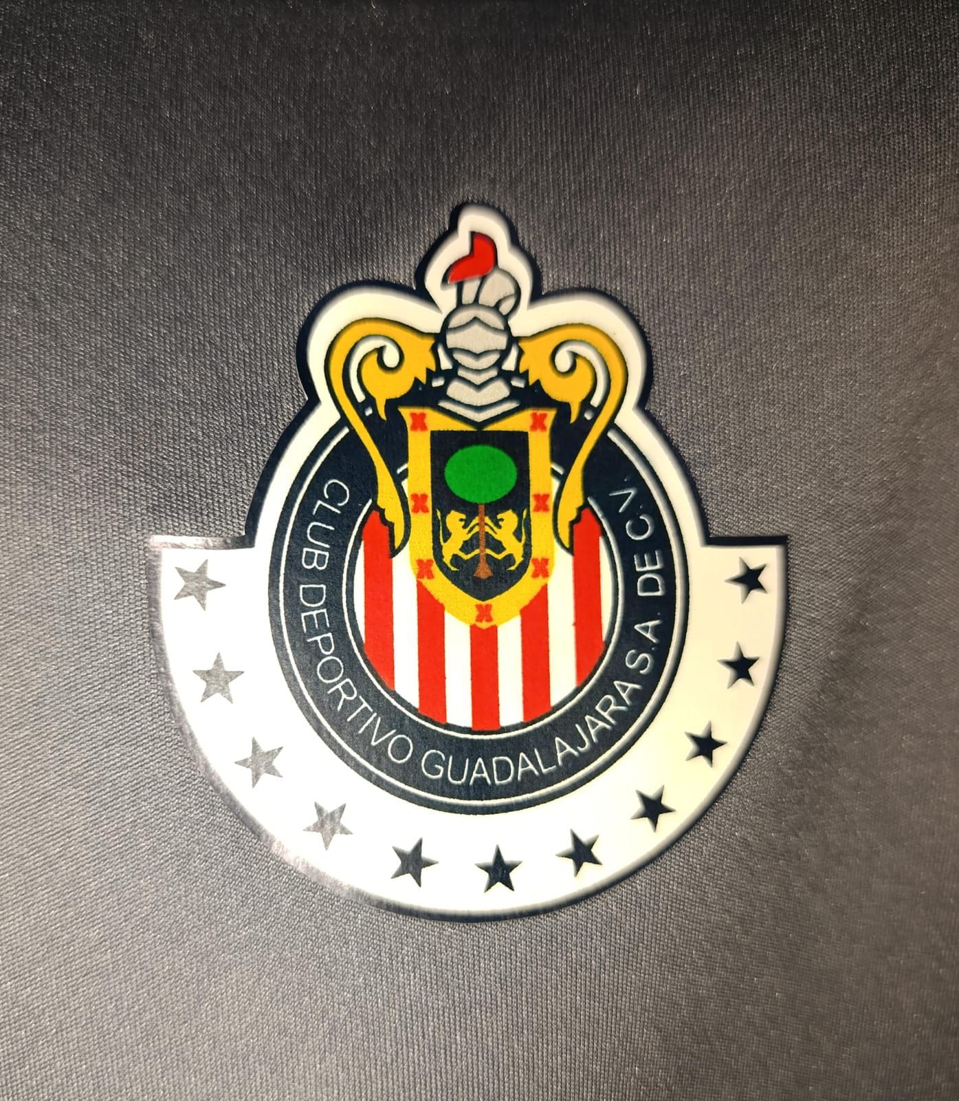 JERSEY CHIVAS PORTERO MICHEL #1