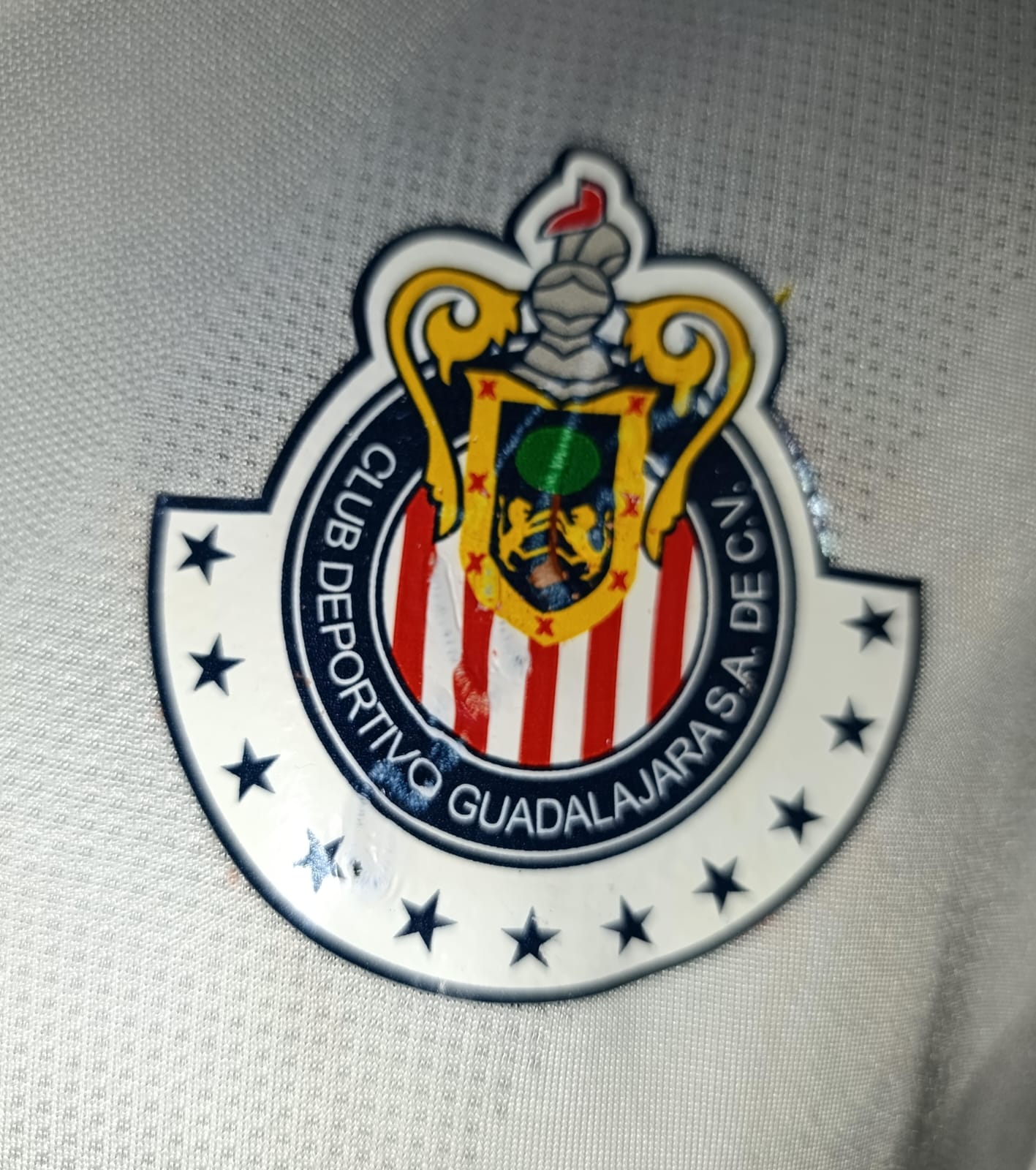 JERSEY CHIVAS PORTERO MICHEL #1 FIRMADA