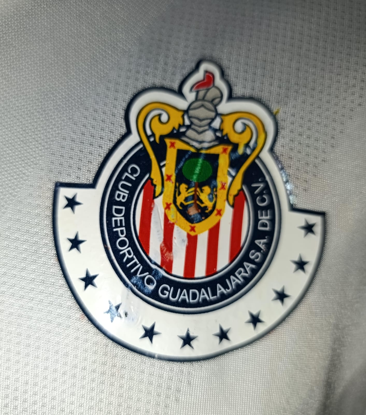 JERSEY CHIVAS PORTERO MICHEL #1