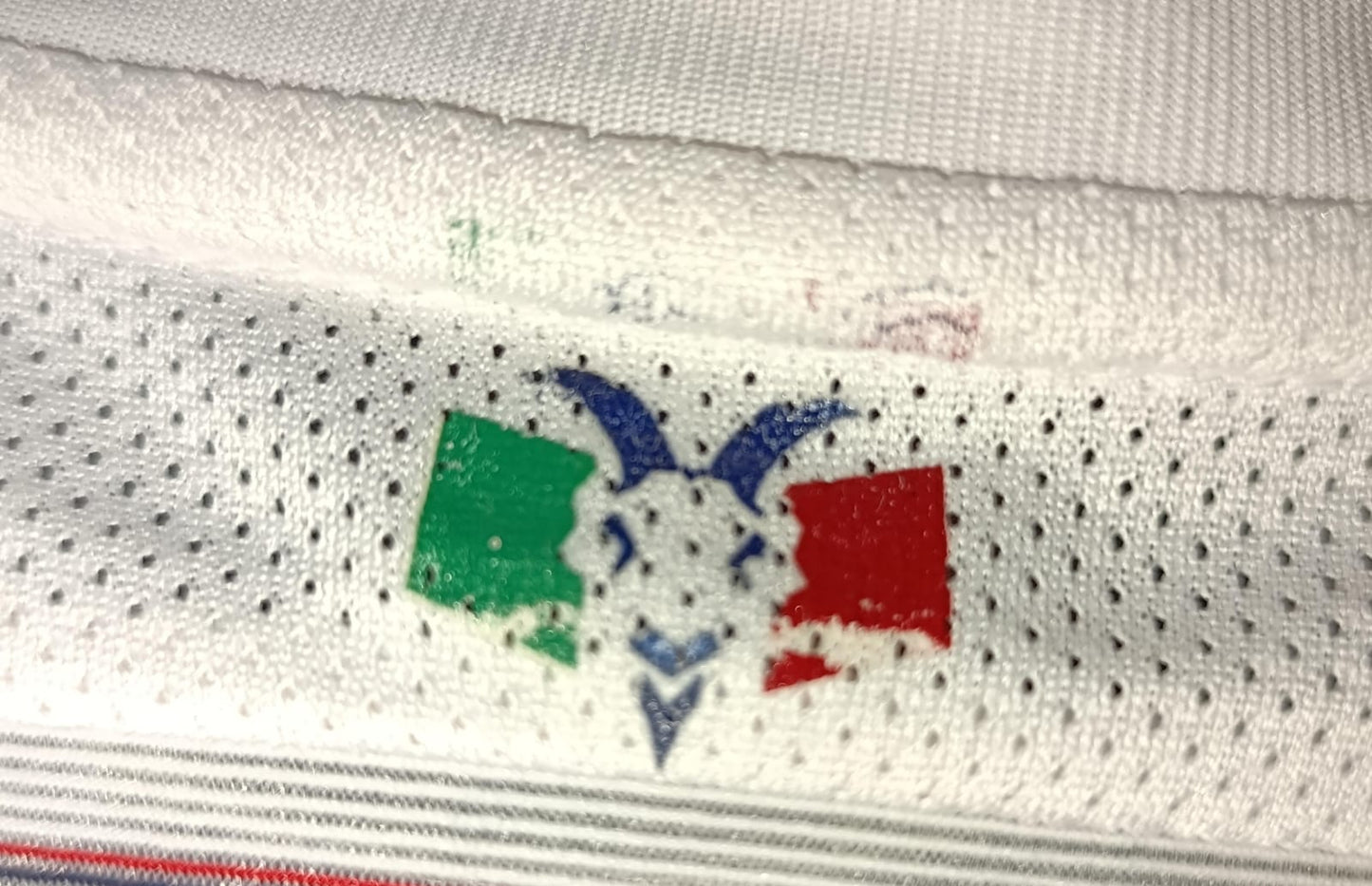 JERSEY CHIVAS UTILERIA #11 DE NIGRIS
