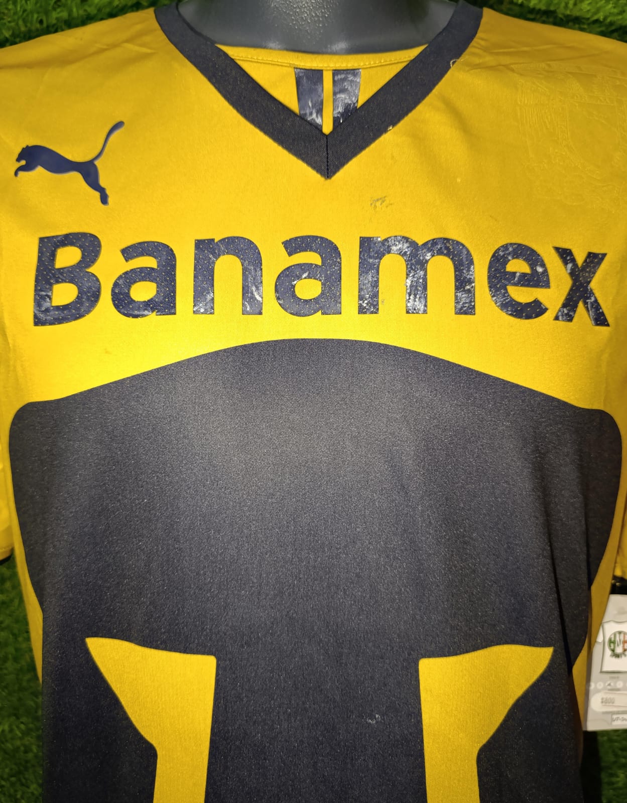 JERSEY PUMAS UTILERIA #17 VAN RANKIN