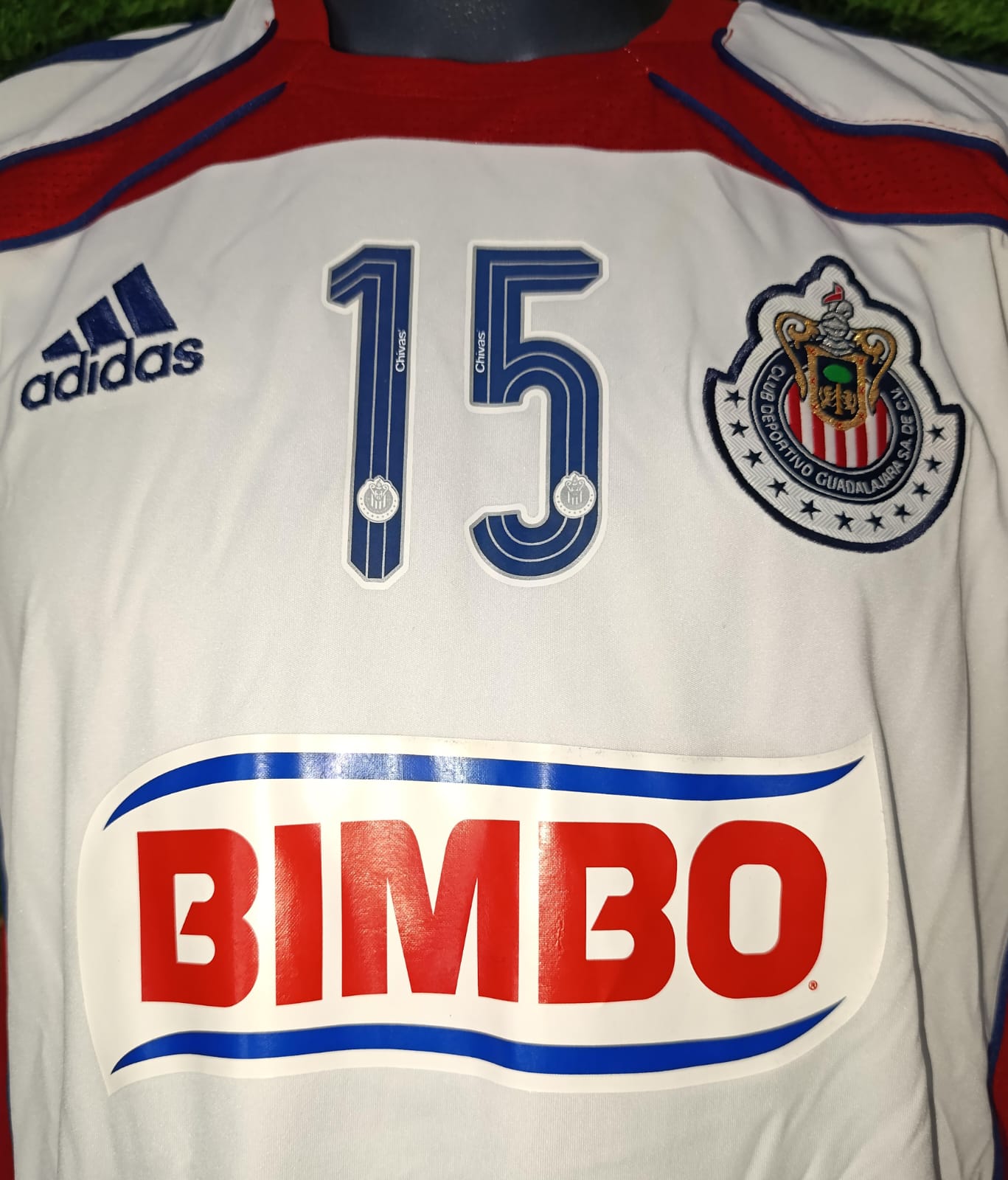 JERSEY ENTRENAMIENTO CHIVAS #15