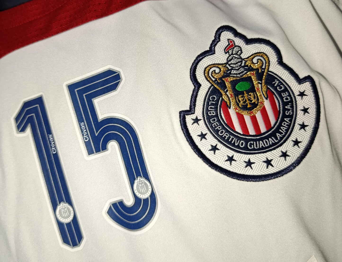 JERSEY ENTRENAMIENTO CHIVAS #15
