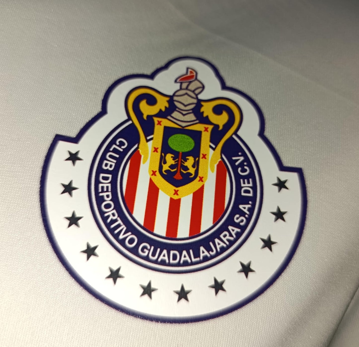 JERSEY CHIVAS PORTERO MICHEL #1