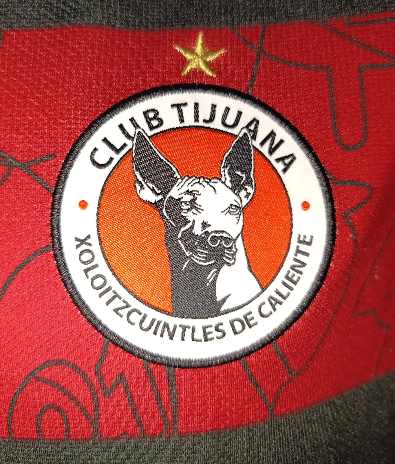 JERSEY XOLOS DE TIJUANA UTILERIA #3 GANDOLFI