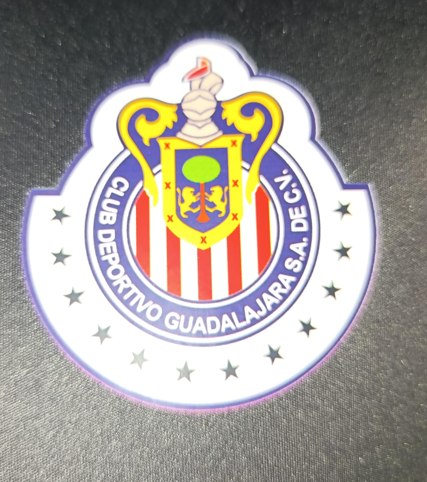 JERSEY CHIVAS PORTERO MICHEL #1