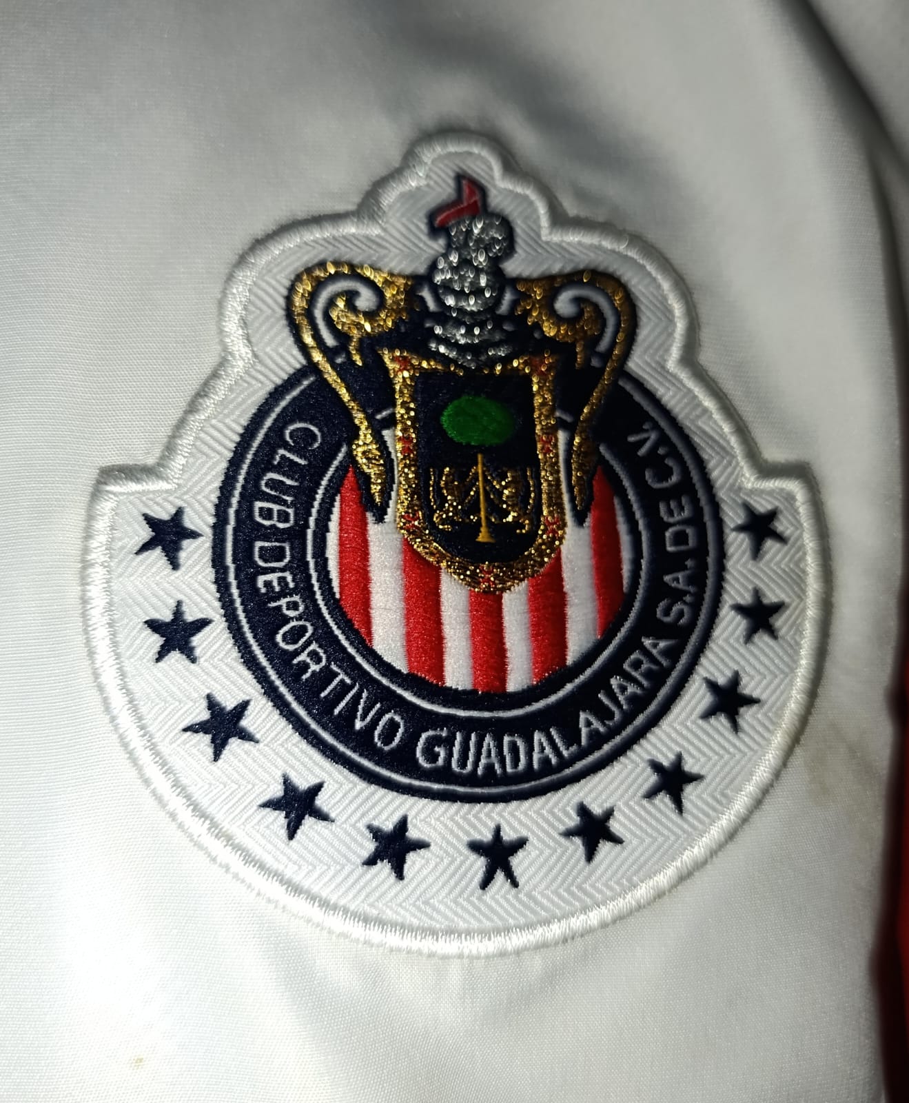 ROMPEVIENTOS CHIVAS 2012