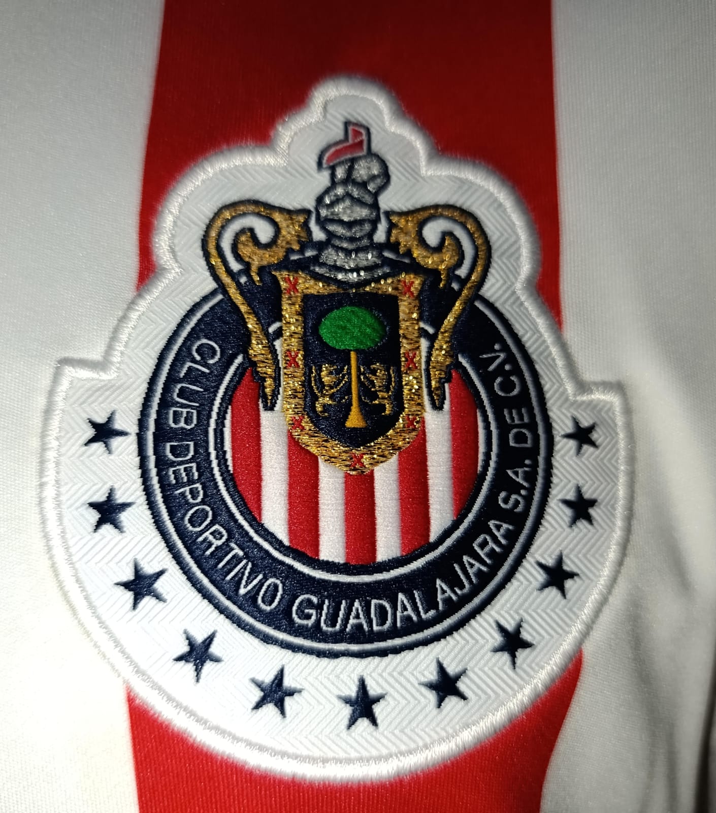 JERSEY CHIVAS UTILERIA 2013 #10 M.FABIAN