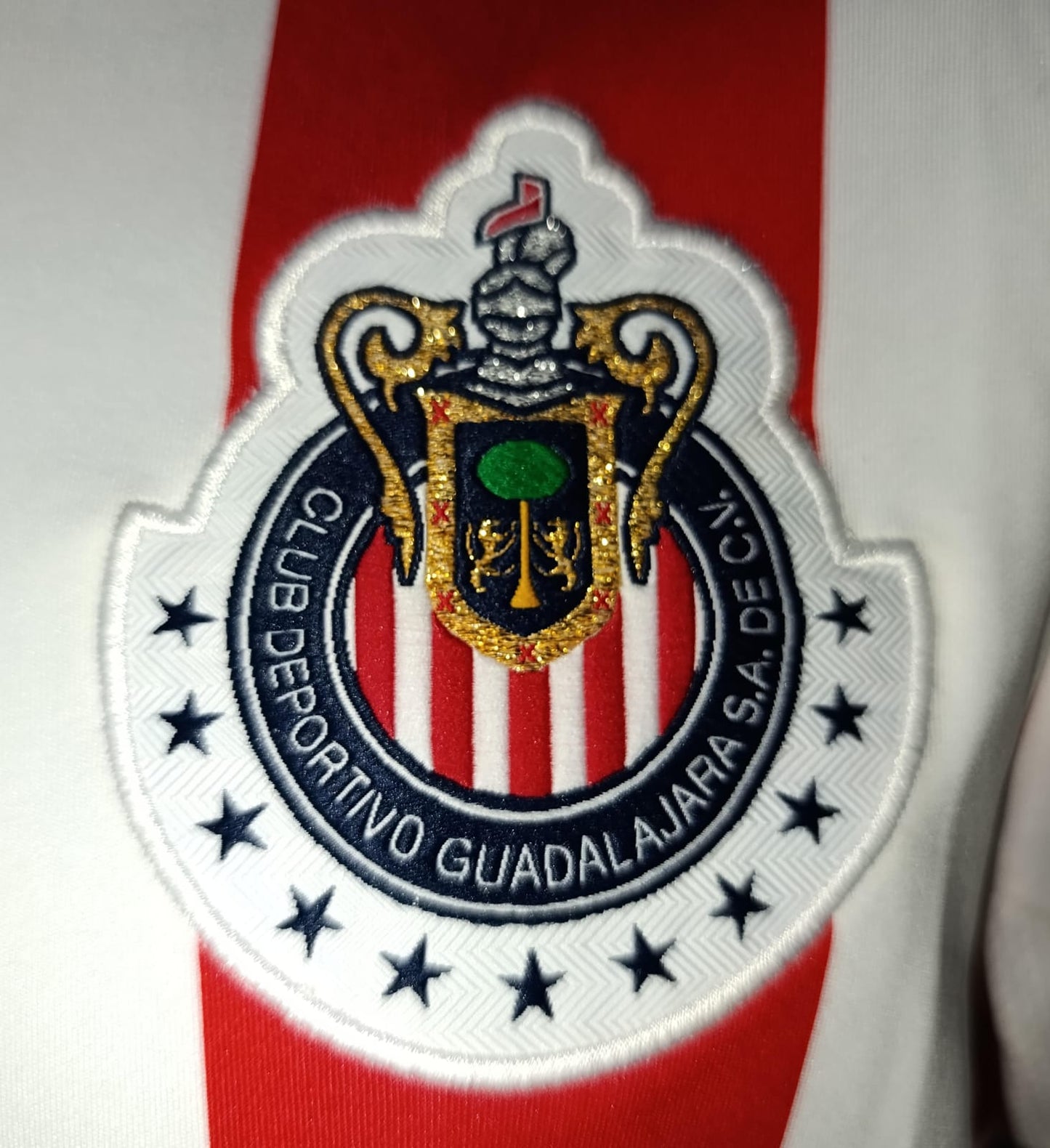 JERSEY CHIVAS UTILERIA #8 LUCHO