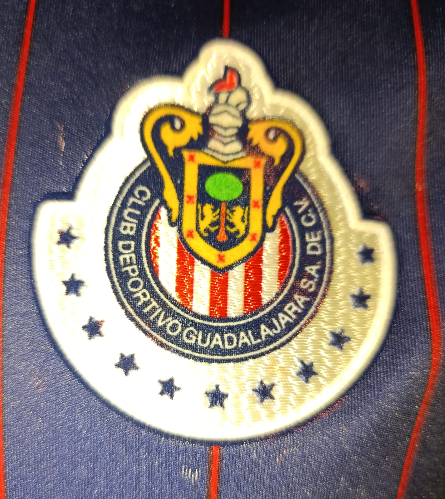 JERSEY CHIVAS UTILERIA #8 LUCHO