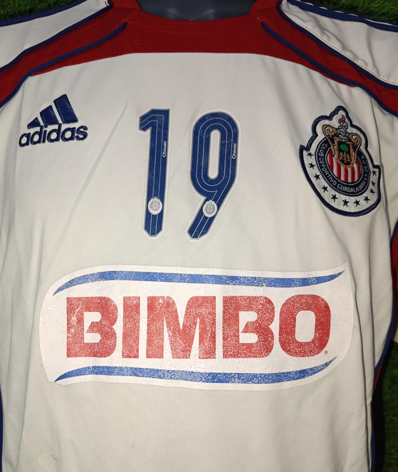 JERSEY ENTRENAMIENTO CHIVAS #19