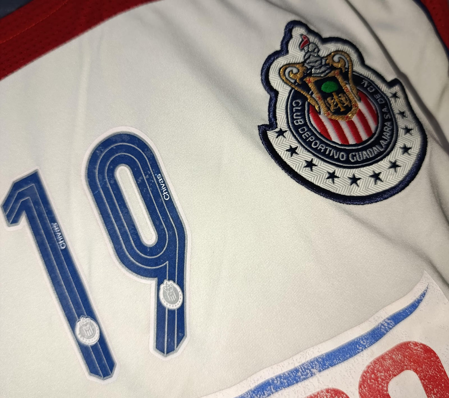 JERSEY ENTRENAMIENTO CHIVAS #19