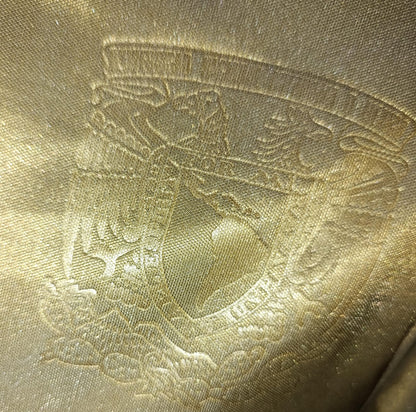 JERSEY PUMAS USO EXCLISIVO DEL CLUB #10 BRAVO