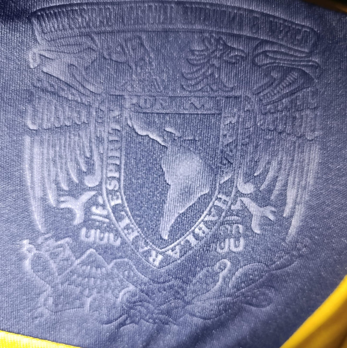 JERSEY PUMAS UTILERIA #26 NIETO