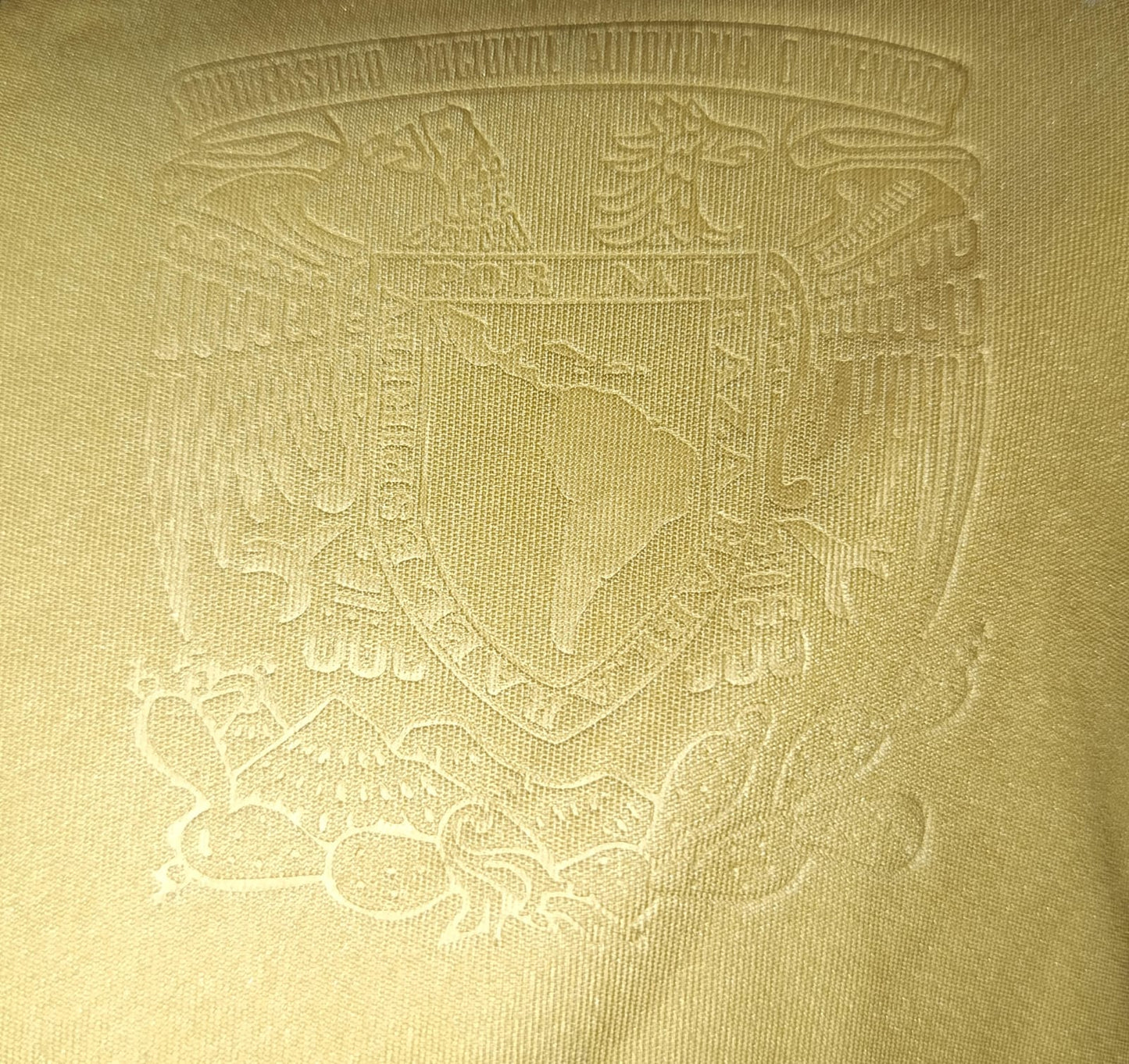 JERSEY PUMAS UTILERIA #33 ARIEL