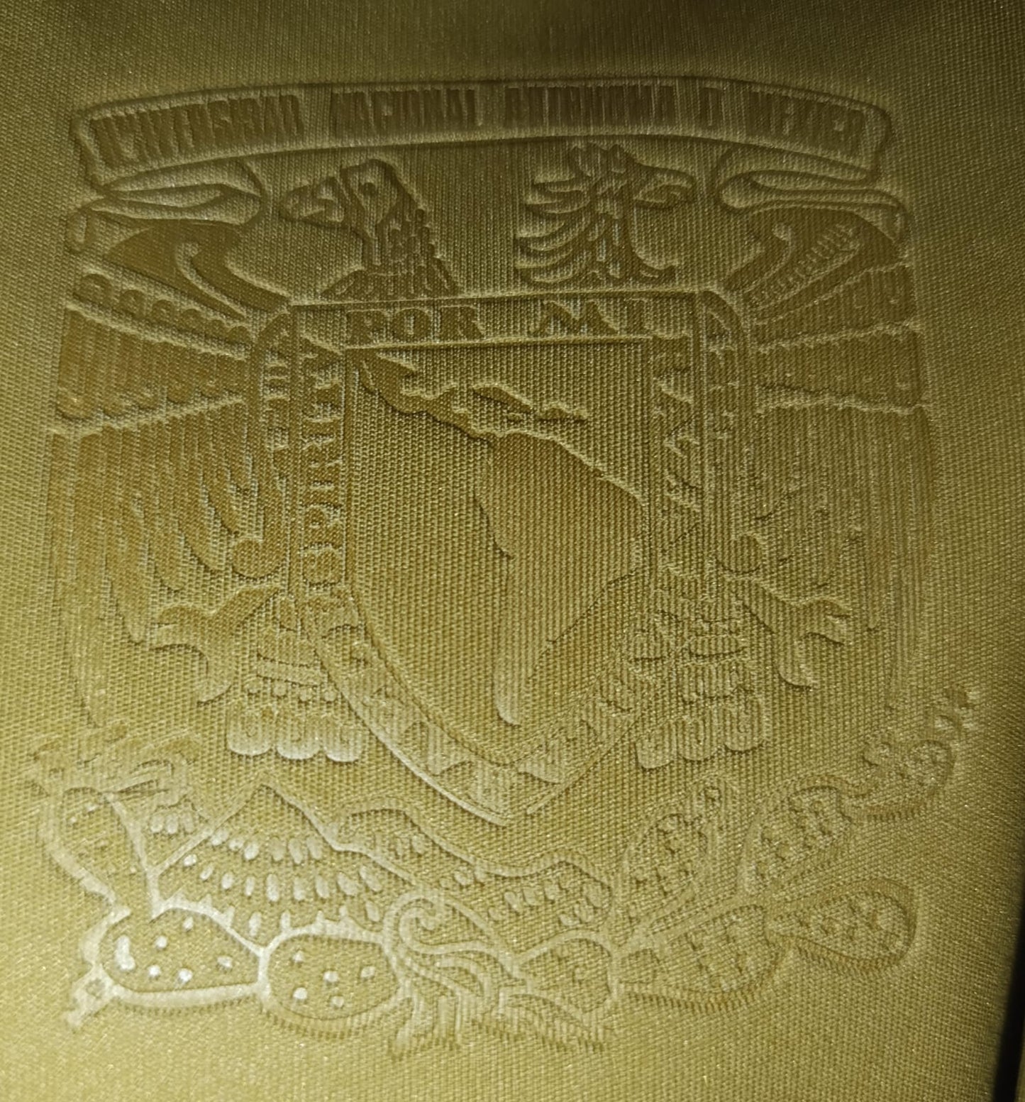 JERSEY PUMAS UTILERIA #20 HACHITA