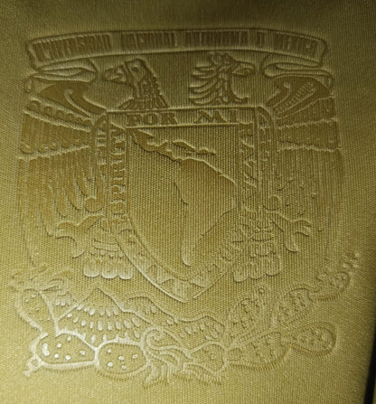 JERSEY PUMAS UTILERIA #20 HACHITA