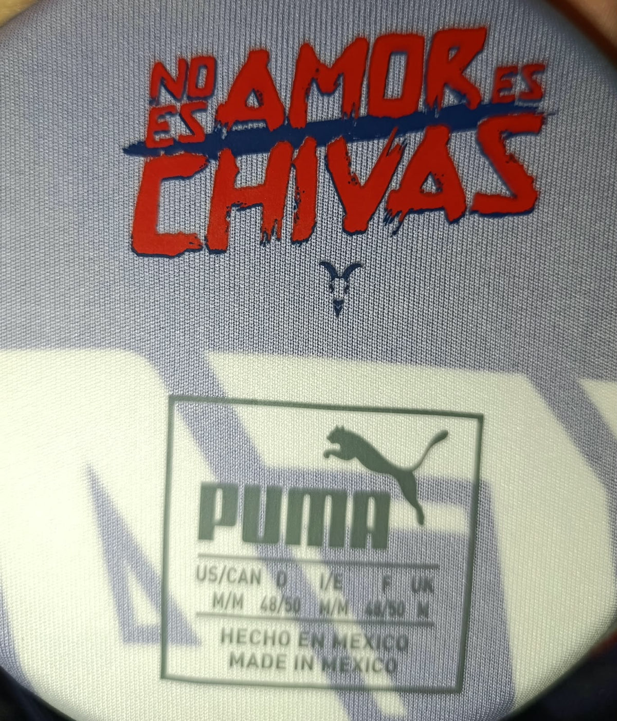 JERSEY ALTERNATIVO MANGA LARGA CHIVAS 18/19