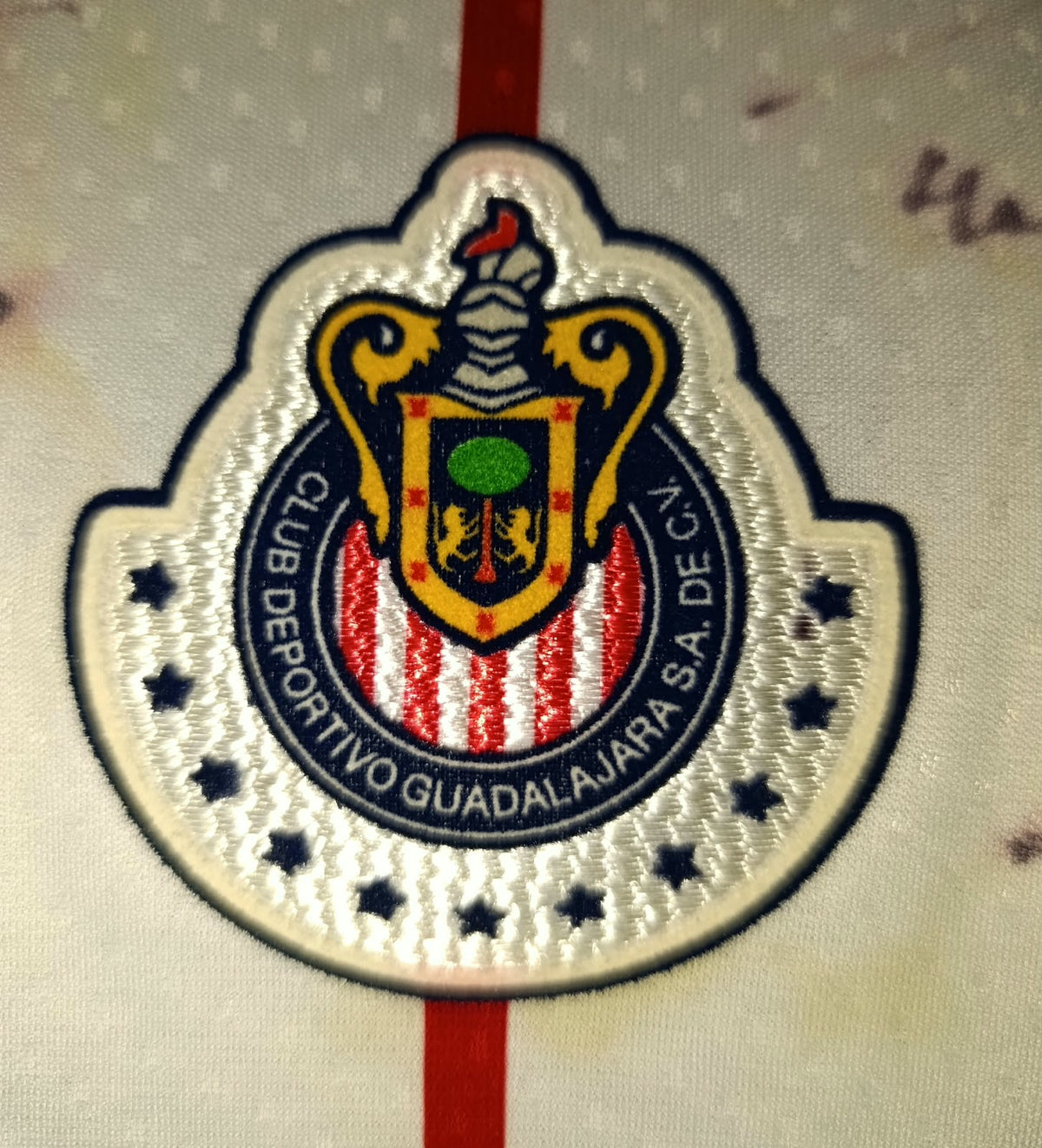 JERSEY VISITANTE CHIVAS 10/11 (FIRMADA)