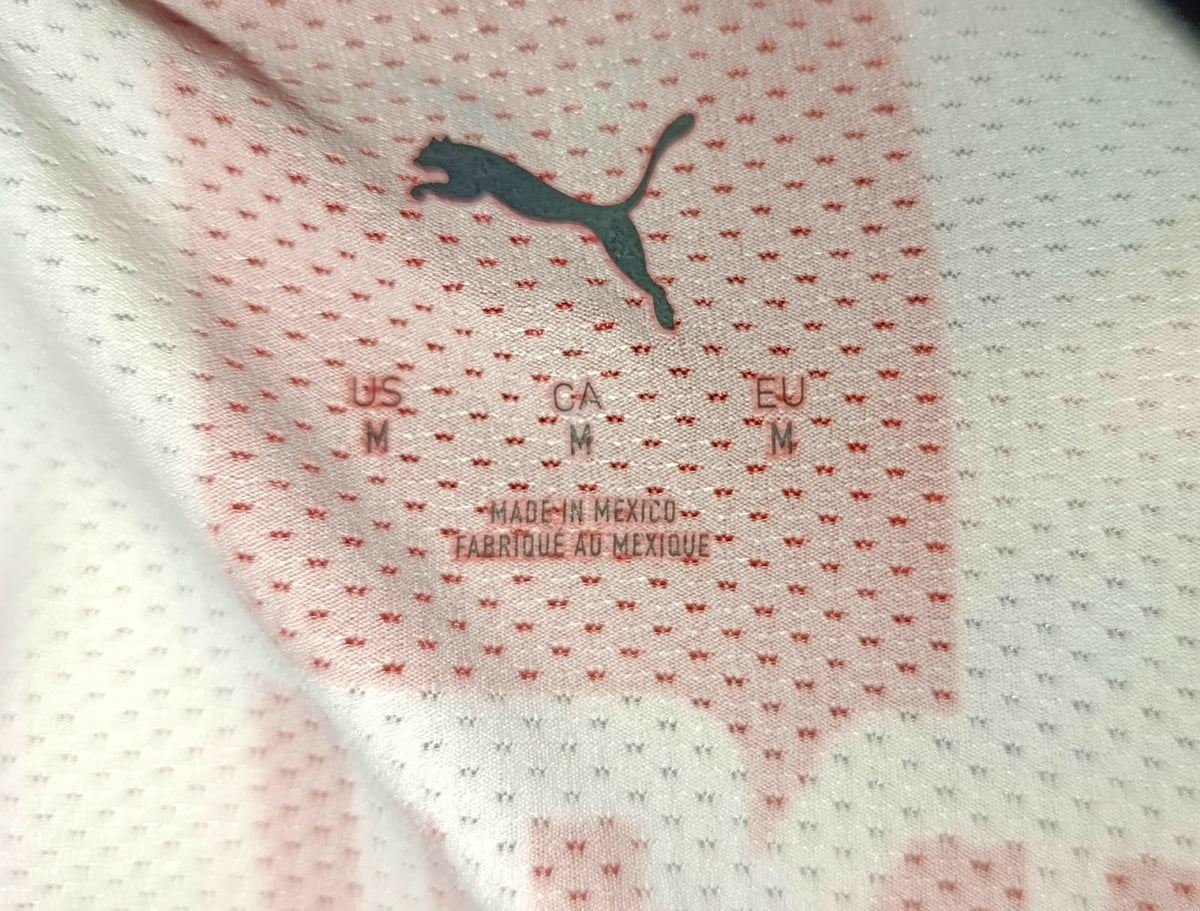 JERSEY CHIVAS LOCAL MANGA LARGA 24/25