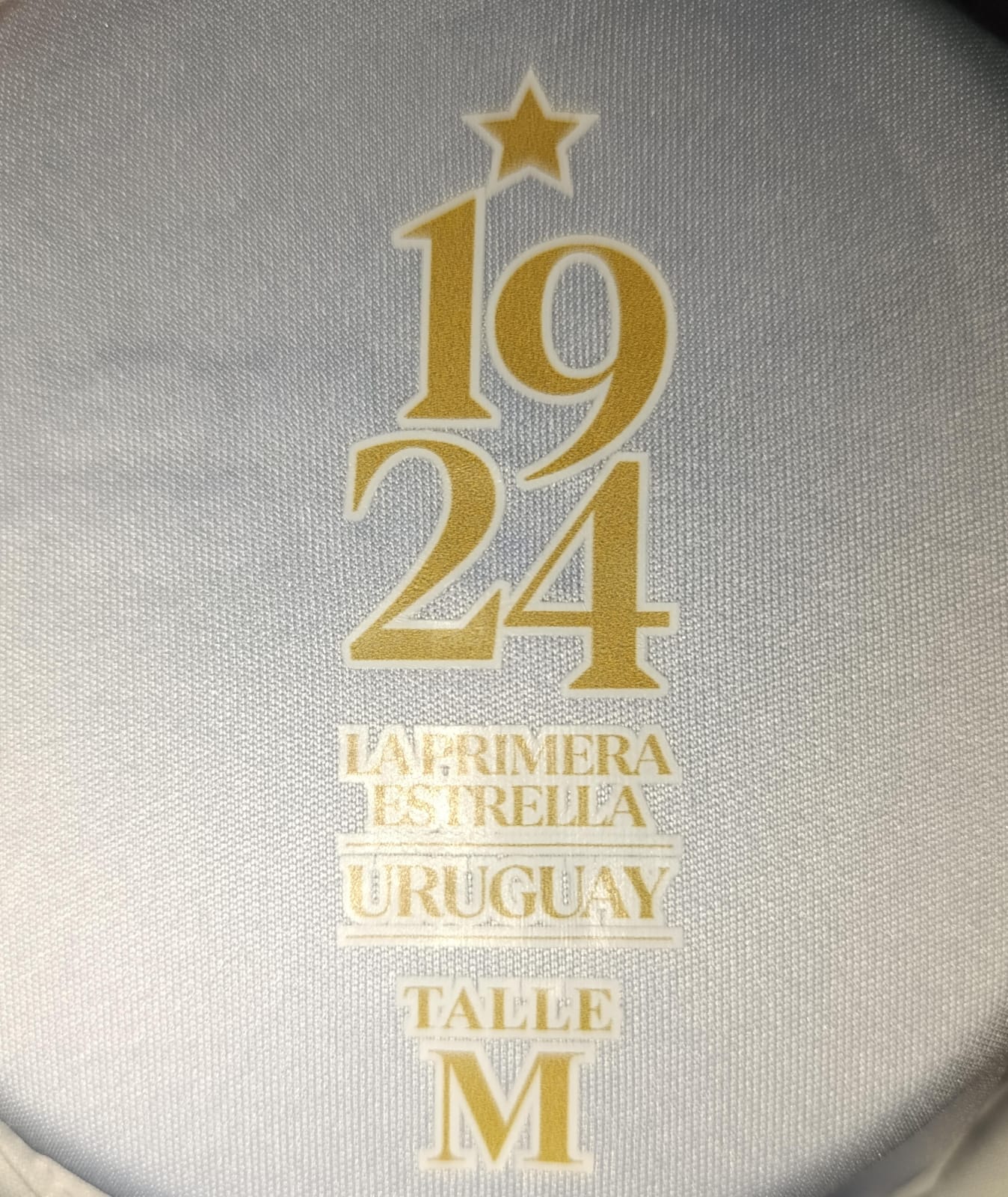 JERSEY URUGUAY EDICION ESPECIAL 100 AÑOS