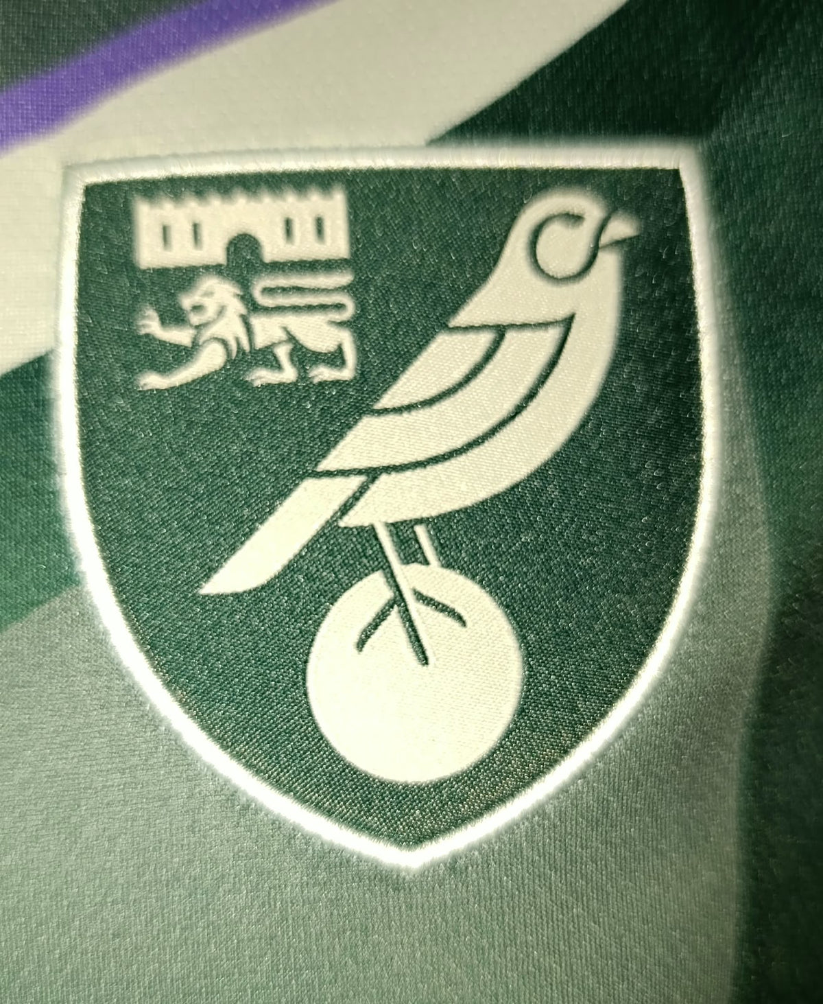 JERSEY VISITANTE NORWICH CITY FC 25/26