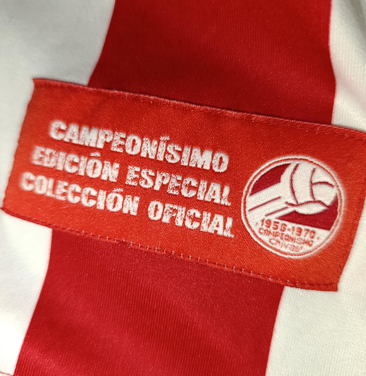 JERSEY ESPECIAL CHIVAS 2006/2008
