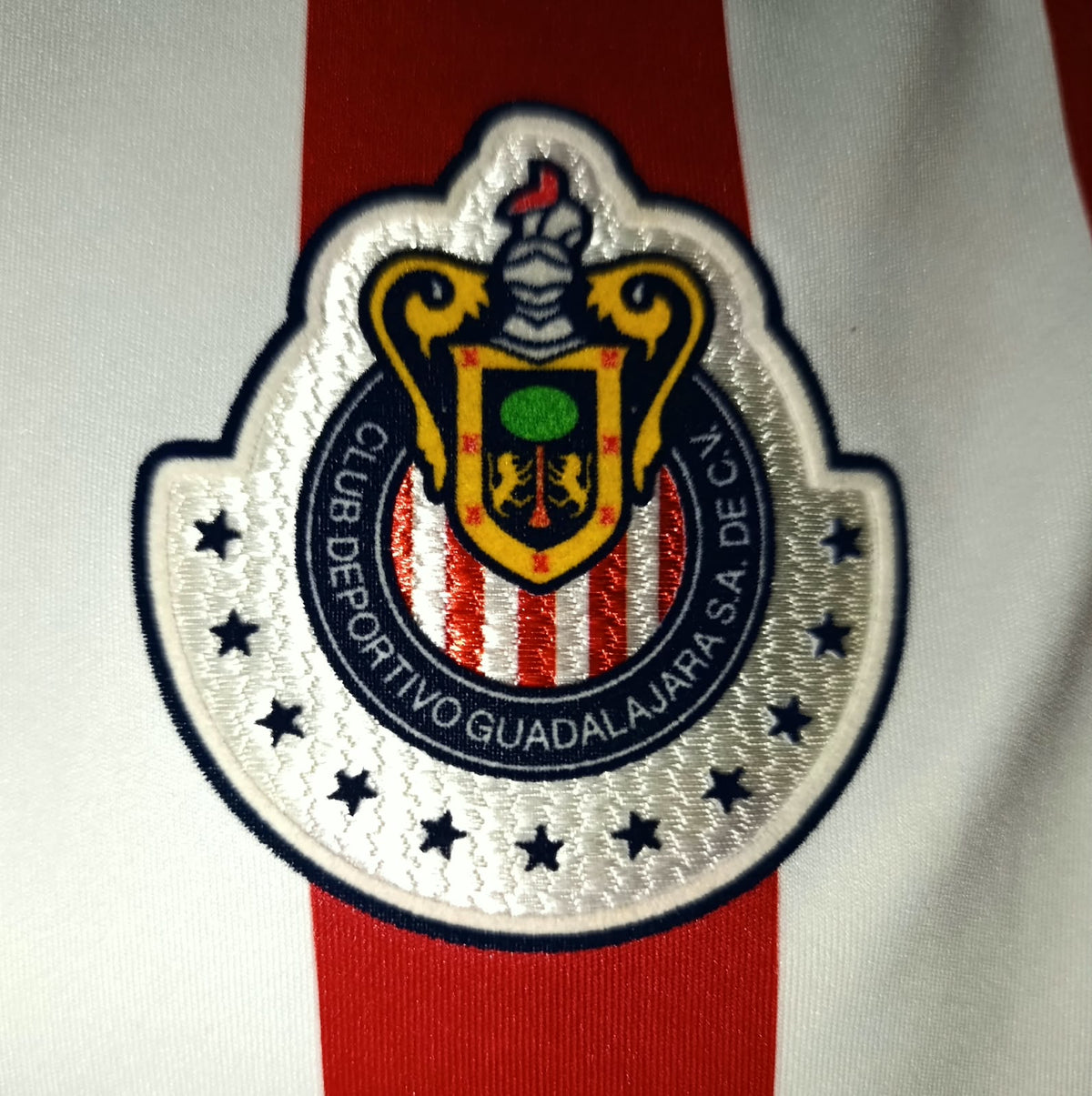 JERSEY CHIVAS LOCAL MANGA LARGA 11/12 #10 VENADO (FIRMADA)
