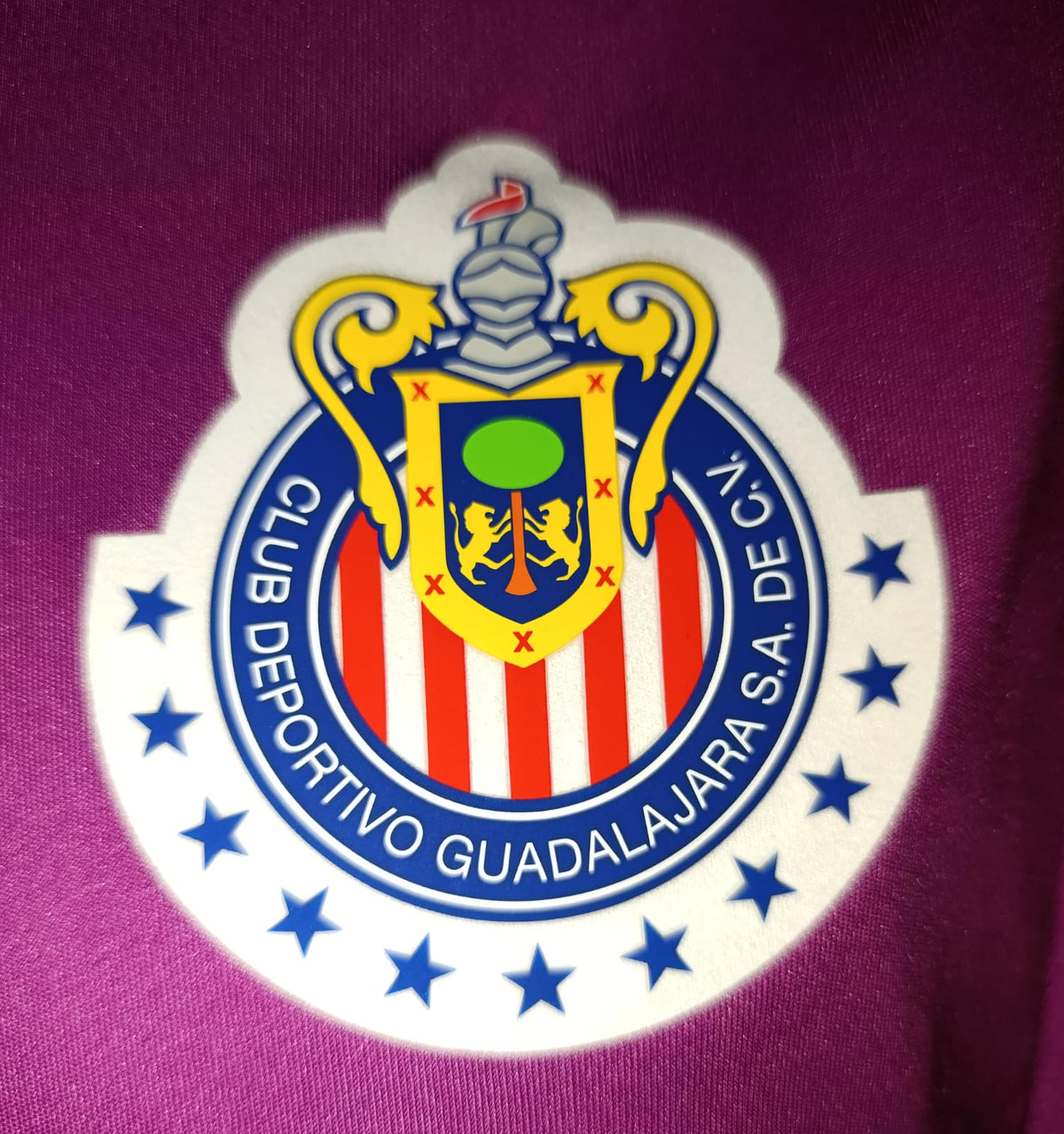 JERSEY PORTERO CHIVAS 16/17