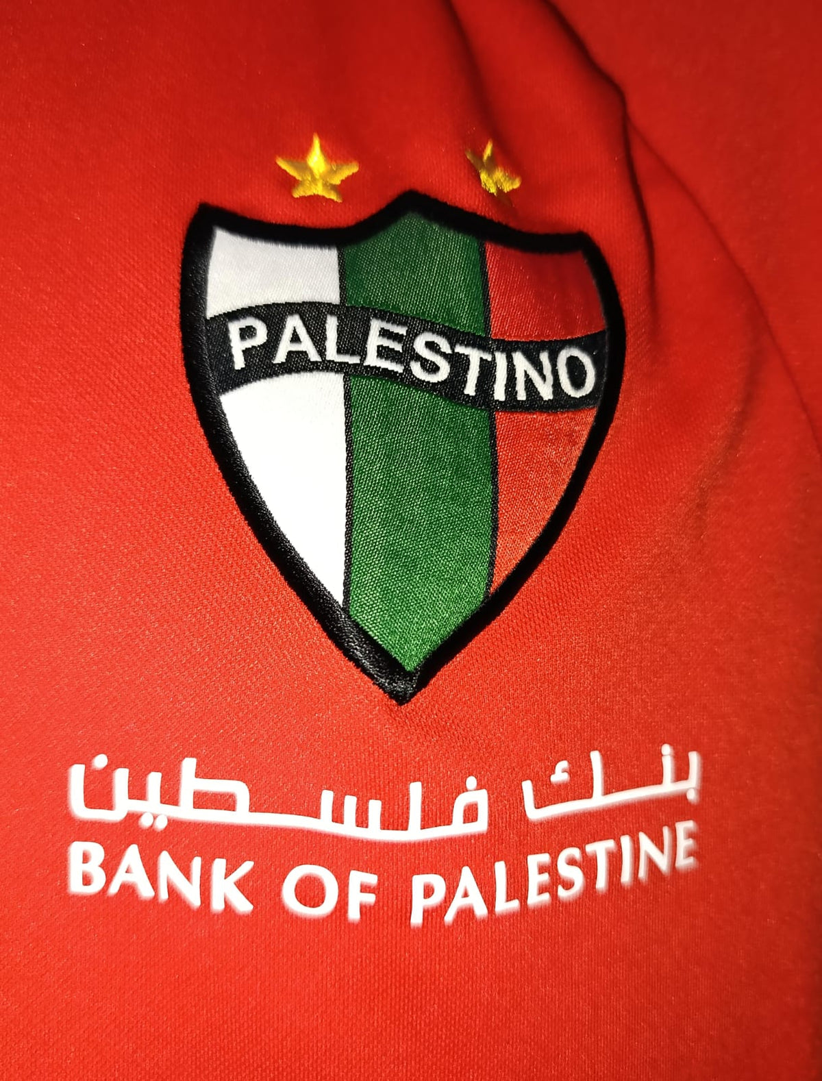CHAMARRA ENTRENAMIENTO CLUB DEPORTIVO PALESTINO