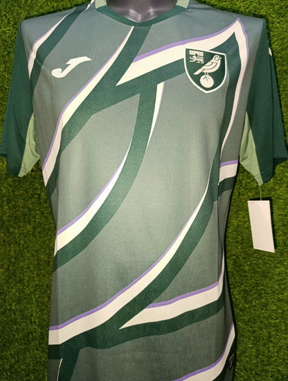 JERSEY VISITANTE NORWICH CITY FC 25/26
