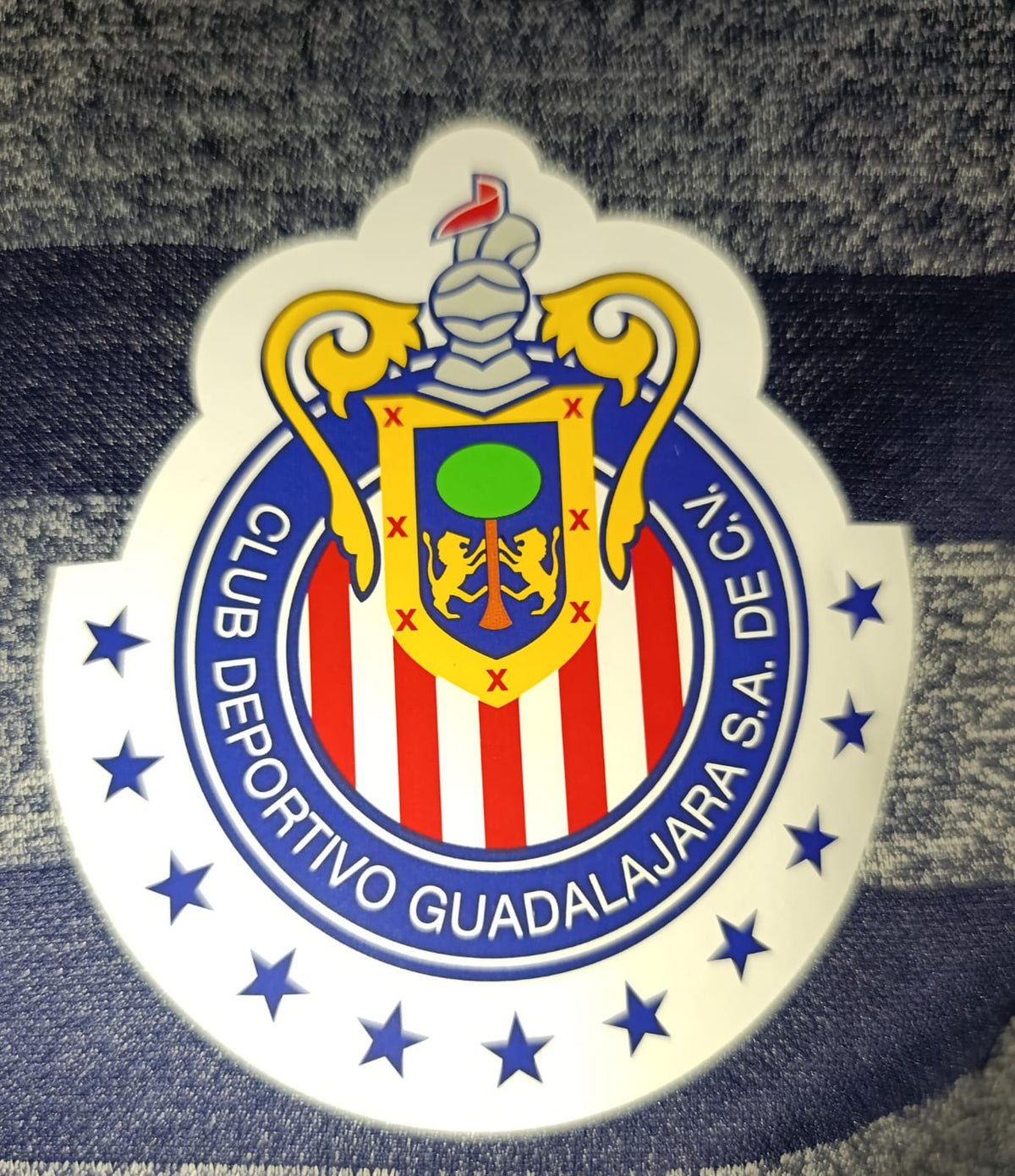 JERSEY VISITANTE CHIVAS 13/14