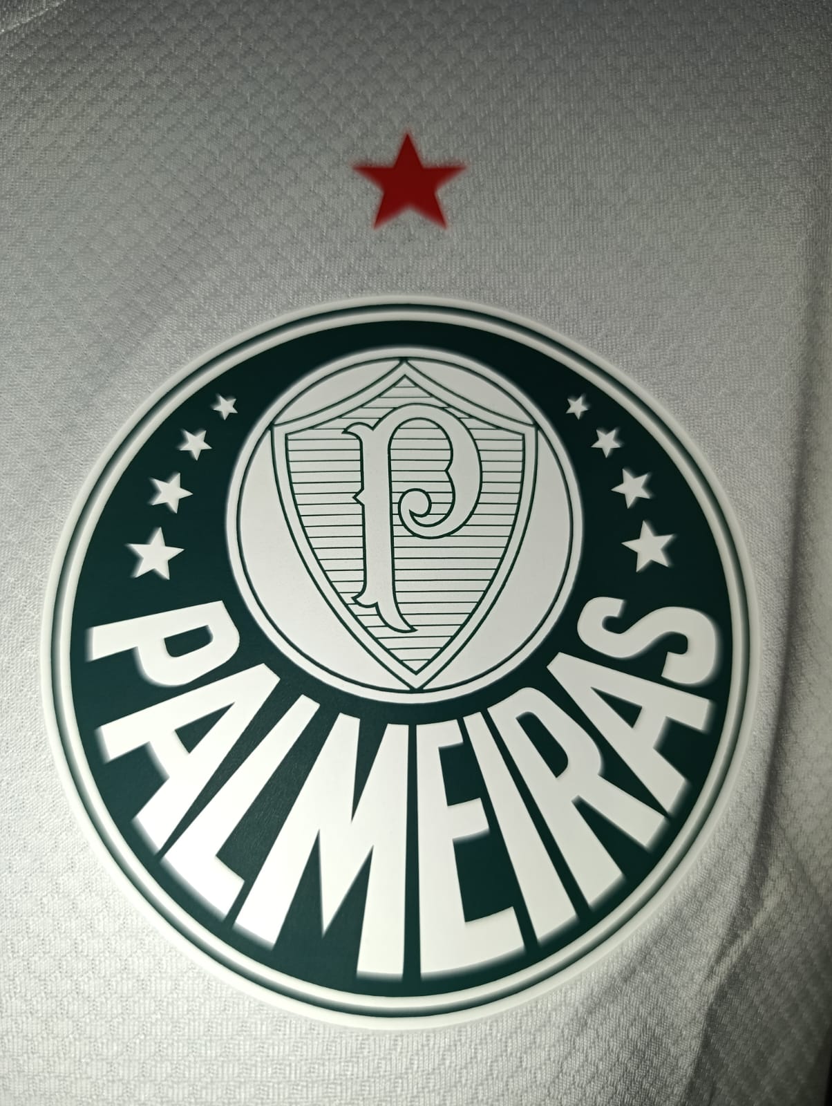 JERSEY PALMEIRAS VISITA MANGA LARGA