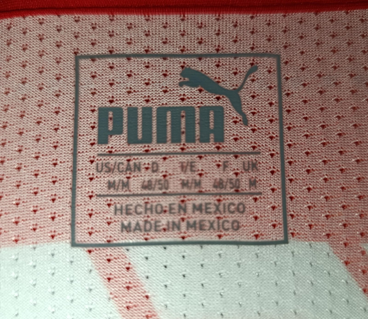 JERSEY LOCAL CHIVAS 16/17 #11 BRIZUELA