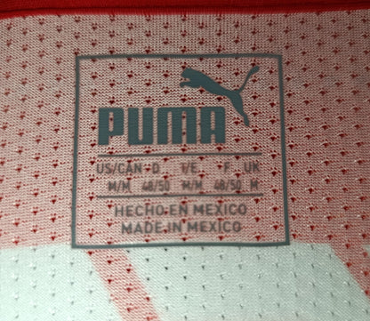 JERSEY LOCAL CHIVAS 16/17 #11 BRIZUELA