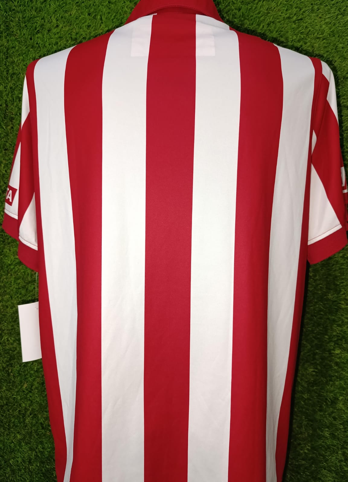 JERSEY ESPECIAL CHIVAS 2006/2008