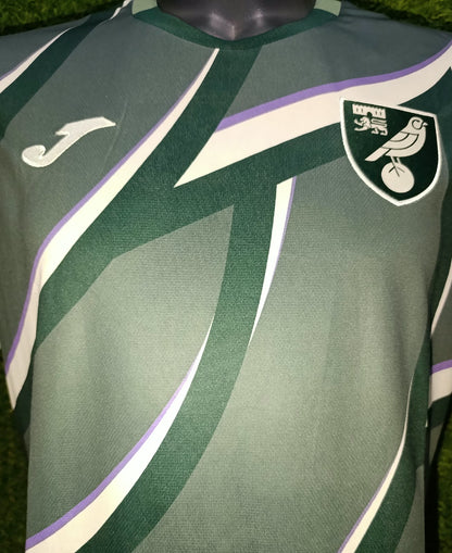 JERSEY VISITANTE NORWICH CITY FC 25/26